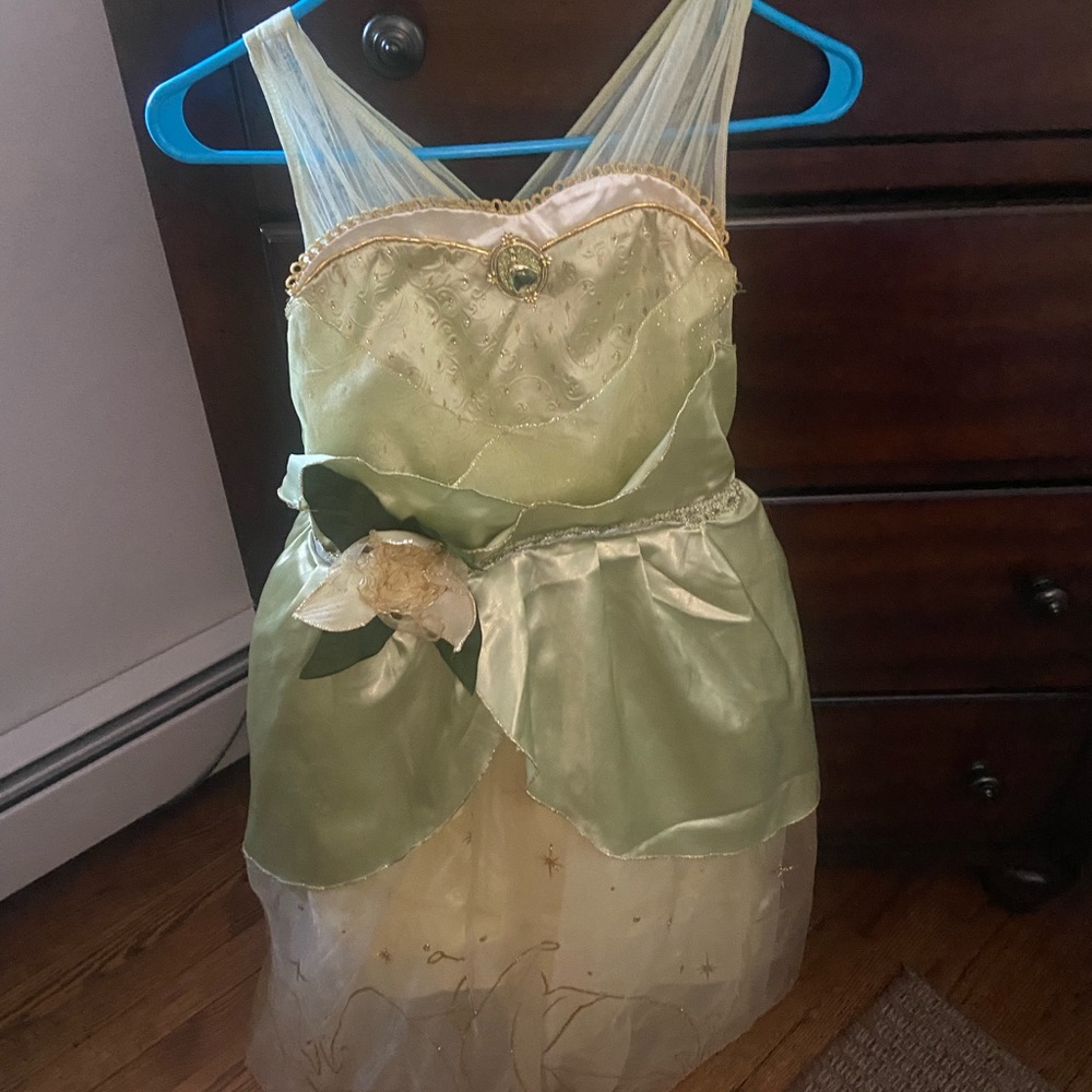 Disney princess dress